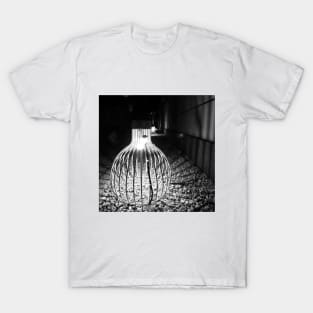 Photography - Follow the light T-Shirt